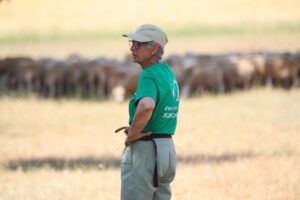 Violencia de género en el medio rural: un drama oculto y normalizado